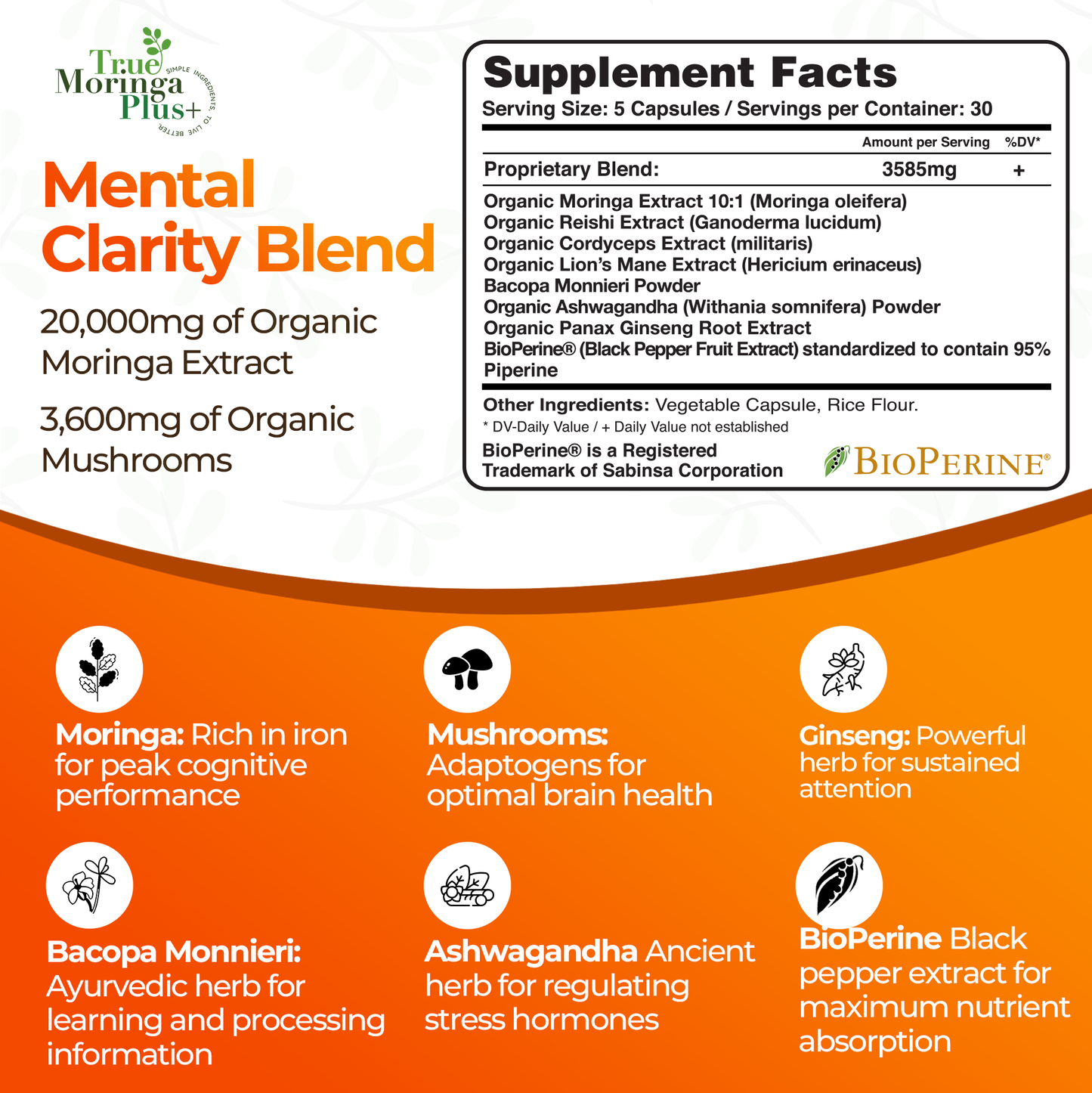 True Moringa Plus+ Focus Support