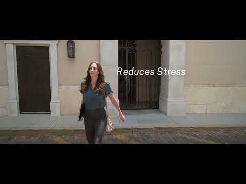 True Moringa Plus+ Focus Support